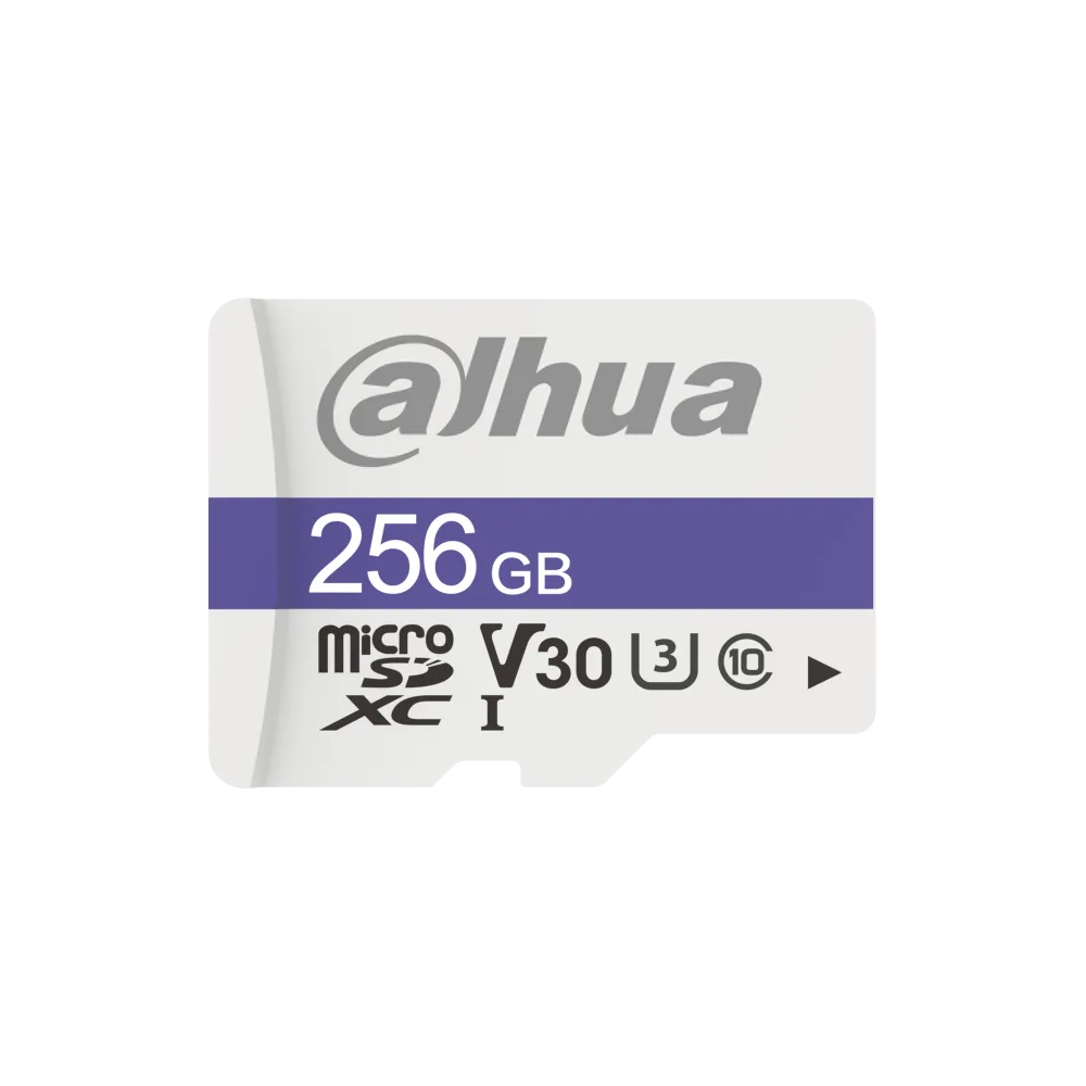 DHI-TF-C100 256GB
