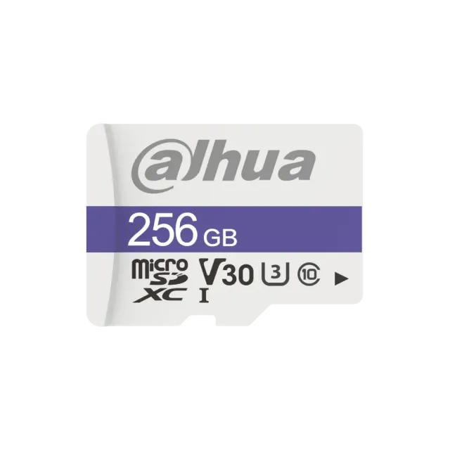 DHI-TF-C100 256GB